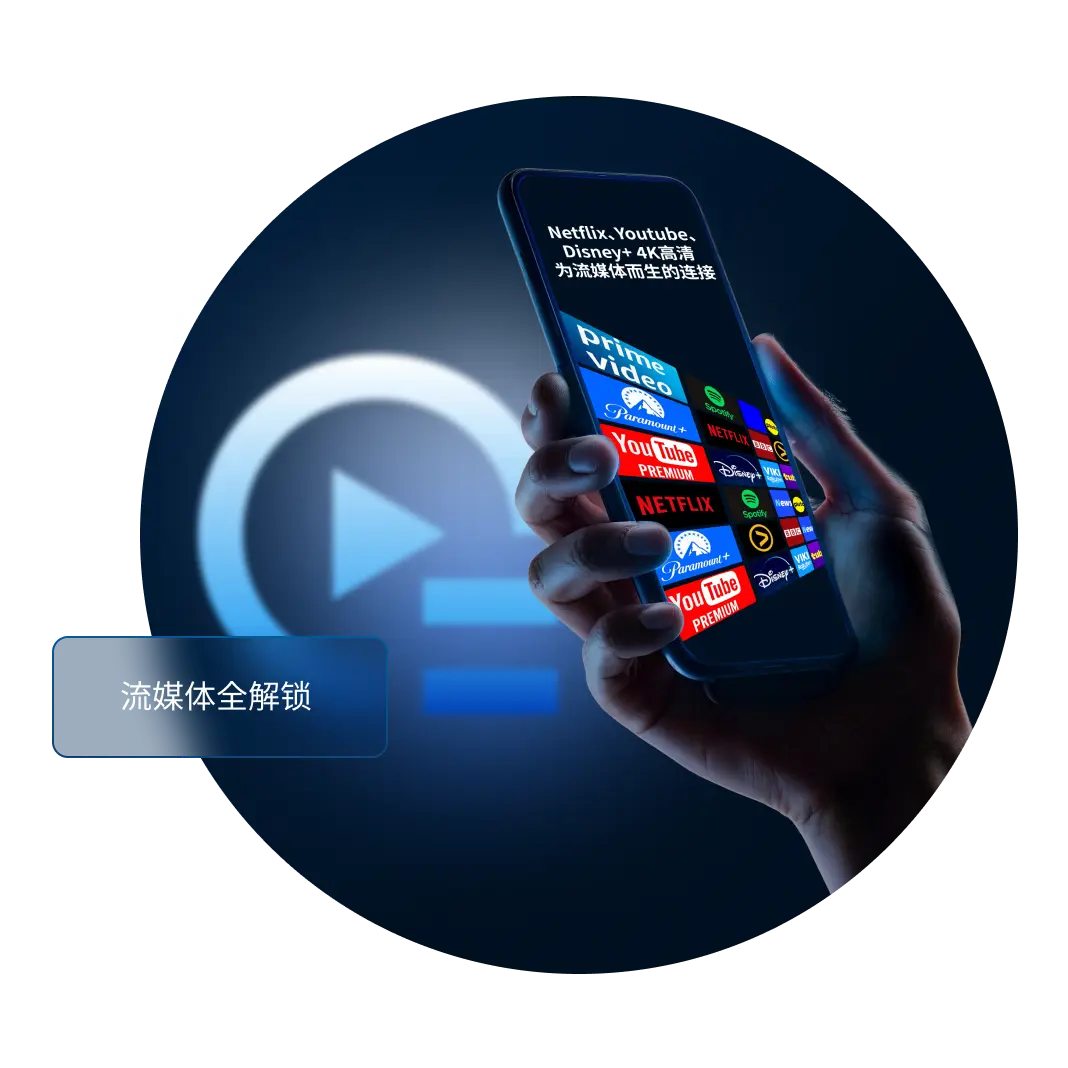 畅享全球顶级网络节点